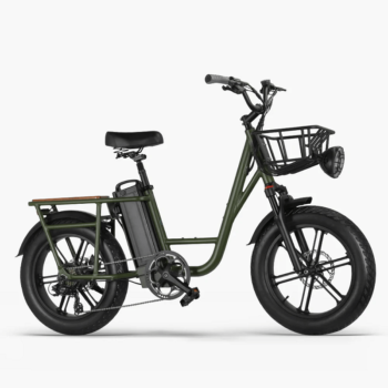 Comprar Bicicleta eléctrica FIIDO T1 Cargo 750W barata