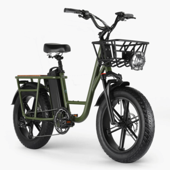 Bicicleta eléctrica FIIDO T1 Cargo 750W al mejor precio